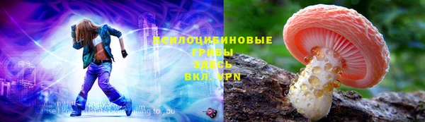 амф Аркадак