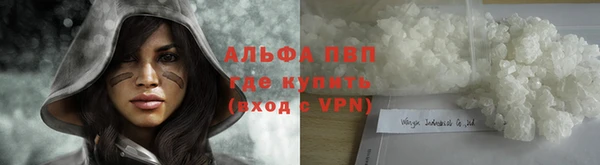 амф Аркадак