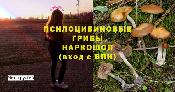 мет Арсеньев
