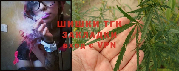 амф Аркадак